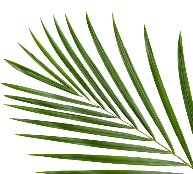 Leaf Right